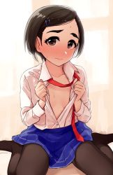 Rule 34 | 1girl, bad id, bad twitter id, black hair, black pantyhose, blue skirt, blush, brown hair, closed mouth, collared shirt, curtains, embarrassed, eyebrows, flat chest, hair ornament, hairclip, idolmaster, idolmaster cinderella girls, looking at viewer, matsuo chizuru, necktie, no bra, no shoes, omaru gyuunyuu, open clothes, open shirt, pantyhose, pleated skirt, red necktie, school uniform, shirt, shirt tucked in, short hair, sitting, skirt, solo, sweat, thick eyebrows, unbuttoned, unbuttoned shirt, undone necktie, undressing, wariza, white shirt