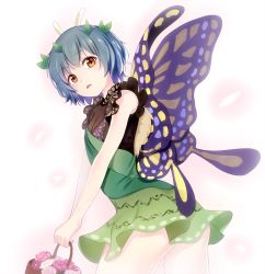 Rule 34 | 1girl, basket, blue hair, blush, brown hair, butterfly wings, eternity larva, flower, green skirt, highres, holding, holding basket, insect wings, looking at viewer, minku (nico seiga), parted lips, pink flower, short hair, skirt, solo, touhou, wings