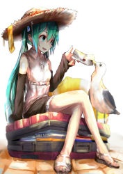 Rule 34 | 1girl, bird, detached sleeves, feet, green eyes, green hair, hat, hatsune miku, highres, crossed legs, letter, long hair, matching hair/eyes, sandals, sitting, solo, suitcase, sun hat, twintails, vocaloid, yukizumi remon