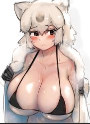 Rule 34 | 1girl, alternate breast size, animal ears, bear ears, bikini, bikini under clothes, blush, book, breasts, brown eyes, closed mouth, collarbone, commentary, embarrassed, eyes visible through hair, frown, gloves, grey hair, hair between eyes, highres, huge breasts, kemono friends, looking at viewer, medium hair, micro bikini, multicolored hair, open book, open clothes, polar bear (kemono friends), shibori kasu, sidelocks, sketch, skindentation, solo, steaming body, stomach, sweat, swimsuit, symbol-only commentary, undressing, upper body, white hair