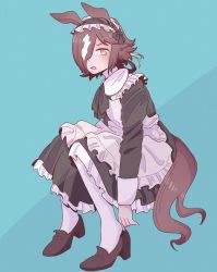 Rule 34 | 1girl, animal ears, apron, b6mti, black dress, blue background, brown footwear, brown hair, dress, frilled apron, frilled dress, frills, full body, hair over one eye, high heels, highres, horse ears, horse girl, horse tail, long hair, long sleeves, looking at viewer, maid, maid apron, maid headdress, open mouth, pantyhose, simple background, solo, tail, umamusume, vodka (umamusume), white apron, white pantyhose, yellow eyes