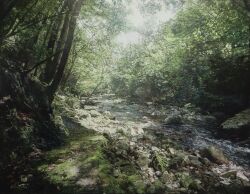 bush day forest grass highres hill morning naohiro_ito nature no_humans original painting_(medium) riverbank scenery shadow stream sunlight traditional_media tree_shade water