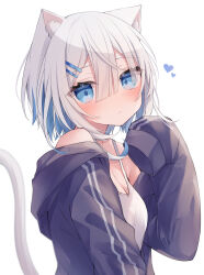 Rule 34 | 1girl, animal ear fluff, animal ears, bare shoulders, black jacket, blue eyes, blush, breasts, camisole, cat ears, cat girl, cat tail, cleavage, closed mouth, colored inner hair, commentary request, eyes visible through hair, grey hair, hair between eyes, hair ornament, hairclip, hand up, heart, highres, hood, hood down, hooded jacket, jacket, long sleeves, looking at viewer, looking to the side, medium breasts, multicolored hair, off shoulder, open clothes, open jacket, original, ringouulu, simple background, sleeves past fingers, sleeves past wrists, solo, tail, upper body, white background, white camisole