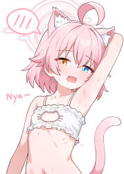 1girl absurdres ahoge animal_ear_fluff animal_ears arm_behind_head arm_up armpits bare_shoulders blue_archive blue_eyes blush bra cat_cutout cat_ears cat_lingerie cat_tail cleavage_cutout clothing_cutout fang flat_chest frilled_bra frills halo heterochromia highres hoshino_(blue_archive) meme_attire navel open_mouth orange_eyes petite pink_hair pink_halo saho_4545 short_hair simple_background solo sound_effects speech_bubble spoken_blush stomach tail underwear upper_body white_background white_bra