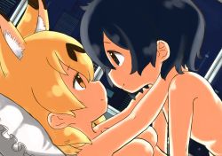 Rule 34 | 2girls, animal ear fluff, animal ears, bad id, bad pixiv id, blonde hair, blue eyes, blue hair, breasts, commentary request, completely nude, couple, extra ears, eye contact, face-to-face, from side, heart, heart in eye, highres, hug, inaba31415, indoors, kaban (kemono friends), kemono friends, looking at another, lying, medium breasts, multiple girls, night, nude, on back, on bed, pillow, serval (kemono friends), short hair, smile, symbol in eye, window, yellow eyes, yuri