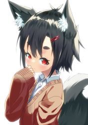 Rule 34 | 1girl, animal ear fluff, animal ears, black hair, blush, brown cardigan, cardigan, choro tofu, closed mouth, collared shirt, commentary request, dress shirt, hair ornament, hairclip, long sleeves, looking at viewer, original, red eyes, school uniform, shirt, short eyebrows, simple background, sleeves past wrists, solo, tail raised, thick eyebrows, upper body, white background, white shirt