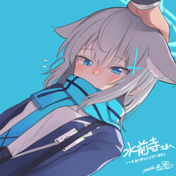 Rule 34 | 1girl, animal ears, blazer, blue archive, blue background, blue eyes, blue halo, blue necktie, blue scarf, bright pupils, cross hair ornament, dated, grey hair, hair between eyes, hair ornament, halo, headpat, highres, jacket, long sleeves, mismatched pupils, necktie, open clothes, open jacket, scarf, shiroko (blue archive), shirt, simple background, solo focus, umino hotate, upper body, white pupils, white shirt, wolf ears
