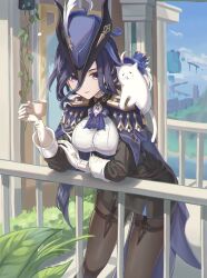 Rule 34 | 1girl, animal, animal on shoulder, auua, black hair, black pantyhose, black skirt, blue cape, cape, cat, clorinde (genshin impact), commentary, cup, epaulettes, genshin impact, gloves, hair between eyes, hat, highres, holding, holding cup, long hair, long sleeves, miniskirt, outdoors, pantyhose, parted lips, pencil skirt, purple eyes, railing, shirt, skirt, solo, standing, teacup, thigh strap, thighs, tricorne, very long hair, white cat, white gloves, white shirt