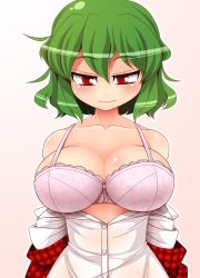 1girl bad_id bad_pixiv_id bare_shoulders bra breasts cleavage collarbone dress_shirt female_focus green_hair kazami_yuuka large_breasts lingerie off_shoulder open_clothes open_shirt plaid_clothes plaid_vest red_eyes shirt simple_background smile solo touhou unadare underwear undressing upper_body vest