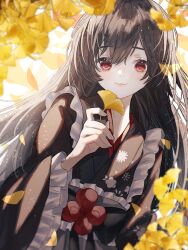 Rule 34 | 1girl, autumn, blush, brown hair, closed mouth, ginkgo tree, ginkgo leaf, hair between eyes, highres, holding, holding leaf, japanese clothes, kimono, leaf, light blush, long hair, long sleeves, looking at viewer, original, outdoors, red eyes, smile, solo, user gdju3344