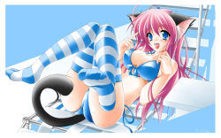 Rule 34 | 1girl, animal ears, bikini, blue eyes, breasts, cat ears, cat tail, chair, cleavage, front-tie top, highres, kamiya tomoe, legs, long hair, lounge chair, open mouth, pink hair, side-tie bikini bottom, solo, striped clothes, striped thighhighs, swimsuit, tail, thighhighs, toe scrunch, toes
