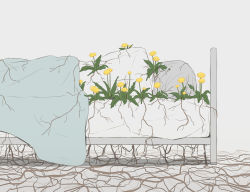 Rule 34 | 1other, absurdres, ambiguous gender, avogado6, bed, bed frame, commentary request, flower, from behind, grey hair, highres, implied death, lying, on bed, on side, original, plant roots, solo, yellow flower