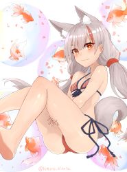 Rule 34 | 1girl, absurdres, animal ear fluff, animal ears, azur lane, bare arms, bare legs, bare shoulders, bikini, blush, breasts, collarbone, commentary request, fish, foot out of frame, fox ears, fox tail, front-tie bikini top, front-tie top, goldfish, grey hair, highres, himono hinata, kamikaze (azur lane), light smile, low twintails, micro bikini, multicolored hair, orange eyes, side-tie bikini bottom, sidelocks, small breasts, smirk, solo, star-shaped pupils, star (symbol), streaked hair, striped bikini, striped clothes, swimsuit, symbol-shaped pupils, tail, thick eyebrows, twintails, twitter username