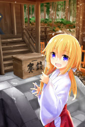 Rule 34 | 1girl, :d, blonde hair, blue bow, blush, bow, box, breath, commentary request, day, donation box, forest, from side, hair between eyes, hair bow, hakama, hakama skirt, japanese clothes, kimono, long hair, long sleeves, looking at viewer, low twintails, miko, nature, open mouth, original, outdoors, purple eyes, red hakama, short kimono, skirt, smile, solo, stairs, stone stairs, tree, twintails, watarui, white kimono, wide sleeves