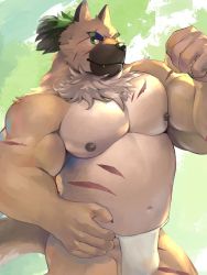Rule 34 | 1boy, animal ears, bara, belly, biceps, brown fur, bulge, dog boy, fangs, feet out of frame, fox ears, from side, fuga9, fundoshi, furry, furry male, green hair, japanese clothes, large pectorals, looking at viewer, male focus, muscular, muscular male, navel, nipples, pectorals, scar, scar on stomach, solo, stomach, thick eyebrows, tokyo houkago summoners, topless male, wet clothes, wet fundoshi, yasuyori (housamo)
