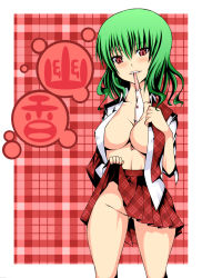 Rule 34 | 1girl, bad id, bad pixiv id, between breasts, breasts, cleavage, clothes lift, daive, female focus, green hair, highres, kazami yuuka, large breasts, mouth hold, no panties, open clothes, open shirt, panties, panties in mouth, plaid, plaid skirt, shirt, skirt, skirt lift, solo, touhou, underwear