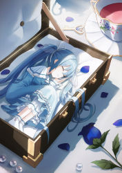 Rule 34 | 1girl, absurdres, blue flower, blue hair, blue rose, box, closed eyes, commentary, cup, cushion, dress, fetal position, flower, frilled dress, frilled socks, frills, gem, hair ribbon, hatsune miku, head on hand, highres, in box, in container, iren lovel, jewelry, key, layered dress, leaf, lock, long hair, md5 mismatch, mini person, minigirl, necklace, pearl (gemstone), pearl necklace, petals, resolution mismatch, ribbon, rose, rozen maiden, saucer, see-through, sleeping, smile, socks, solo, source smaller, teacup, twintails, very long hair, vocaloid