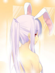 Rule 34 | 1girl, alternate hairstyle, animal ears, back, bad id, bad pixiv id, breasts, rabbit ears, extra ears, female focus, from behind, izumi sai, long hair, looking back, nape, nude, open mouth, ponytail, purple hair, red eyes, reisen udongein inaba, solo, topless frame, touhou, upper body