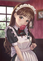 Rule 34 | 1girl, absurdres, apron, blush, breasts, brown eyes, brown hair, commentary, flower, highres, holding, holding flower, indoors, looking at viewer, maid, maid apron, maid headdress, medium breasts, neck ribbon, original, parted lips, portrait (object), puffy short sleeves, puffy sleeves, red flower, red ribbon, red rose, ribbon, rose, satori (user kxjg8283), short sleeves, smile, solo, symbol-only commentary, upper body, window