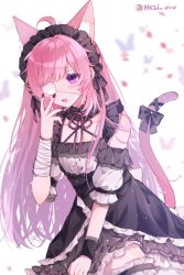 Rule 34 | :3, ahoge, animal ear fluff, animal ears, armband, artist name, bandaged arm, bandages, bare shoulders, blush, bow, braid, braiding hair, bridal garter, bug, butterfly, cable, cat ears, cat girl, cat tail, collar, eyepatch, fangs, frilled armband, frilled sleeves, frills, gothic lolita, hairdressing, hand on own face, heterochromia, hezi (measukivov), indie virtual youtuber, insect, kneeling, lolita fashion, mikeneko (vtuber), mikeneko (vtuber) (1st costume), multicolored hair, one eye covered, petals, purple eyes, sidelocks, tail, virtual youtuber, white background