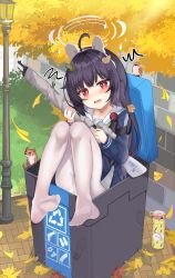 Rule 34 | 1girl, absurdres, black hair, blue archive, blush, feet, gun, halo, highres, leaf, long hair, looking at viewer, miyu (blue archive), open mouth, panties, panties under pantyhose, pantyhose, pantyshot, red eyes, soles, toes, trash can, underwear, weapon