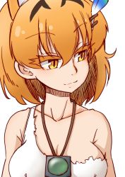 Rule 34 | 1girl, 370ml, animal ears, bad id, bad twitter id, breasts, cleavage, closed mouth, commentary request, eyelashes, feather hair ornament, feathers, hair ornament, highres, jewelry, kemono friends, looking to the side, medium breasts, necklace, orange eyes, orange hair, portrait, serval (kemono friends), shirt, short hair, simple background, single-shoulder shirt, single strap, smile, solo, survival friends, torn clothes, torn shirt, white background, white shirt