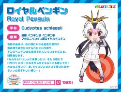Rule 34 | 1girl, highres, kemono friends, long hair, looking at viewer, official art, penguin girl, penguin tail, red eyes, royal penguin (kemono friends), solo, tail, twintails, yoshizaki mine