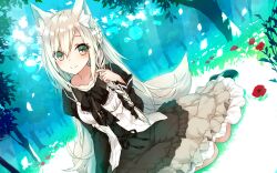 Rule 34 | 1girl, animal ear fluff, animal ears, black dress, black footwear, braid, brown eyes, closed mouth, collarbone, commentary request, dress, dutch angle, flower, fox ears, fox girl, fox tail, frilled dress, frills, grass, grey hair, hair between eyes, hand up, highres, long hair, long sleeves, looking at viewer, original, red flower, saeki touma, shoes, single braid, smile, solo, tail, tree, very long hair
