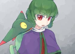 Rule 34 | 1other, adagumo no saragimaru, androgynous, blunt bangs, capelet, collar, collared capelet, colored eyelashes, creatures (company), dreepy, frown, game freak, gen 8 pokemon, green hair, green trim, grey background, len&#039;en, looking at another, necktie, nintendo, open mouth, pokemon, pokemon (creature), purple capelet, red eyes, red necktie, short hair, slit pupils, tail, upper body, v-shaped eyebrows, white collar, yellow eyes, yuejiao tuan