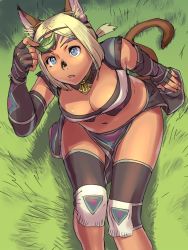 Rule 34 | 1girl, animal ear fluff, animal ears, blue pupils, breasts, cat ears, cat girl, cat tail, cleavage, dark-skinned female, dark skin, elbow gloves, final fantasy, final fantasy xi, fingerless gloves, from above, gloves, grass, grey gloves, holding, holding leaf, leaf, loincloth, medium breasts, mithra (ff11), navel, no eyebrows, parted bangs, short hair, sitting, solo, tail, yuccoshi