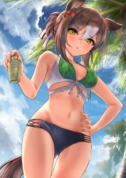 Rule 34 | absurdres, animal ears, breasts, brown hair, cleavage, cloud, commentary request, fine motion (umamusume), folded ponytail, green eyes, hair between eyes, herohero (higashi no dou), highres, horse ears, horse girl, horse tail, looking at viewer, lotion, medium breasts, navel, palm tree, sky, solo, swimsuit, tail, tree, umamusume