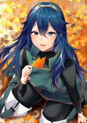 Rule 34 | 1girl, ameno (a meno0), autumn leaves, bad id, bad twitter id, blue eyes, blue footwear, blue hair, blue pants, blue tunic, fire emblem, fire emblem awakening, fire emblem heroes, from above, hair between eyes, holding, holding leaf, kneeling, leaf, long hair, looking at viewer, lucina (fire emblem), nintendo, open mouth, pants, solo, super smash bros., tiara