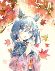 Rule 34 | 1girl, :d, alternate costume, alternate hair color, animal ears, autumn leaves, blue eyes, blue hair, blue kimono, blush, branch, commentary request, commission, ear flower, ear ornament, eishin flash (umamusume), falling leaves, hair between eyes, hands up, horse ears, horse girl, japanese clothes, jewelry, kimono, leaf, long sleeves, looking at viewer, medium hair, mizuki toko, obi, open mouth, orange sash, own hands together, pastel colors, pink shawl, plant, print kimono, ring, sash, shawl, skeb commission, smile, solo, steepled fingers, tree, umamusume, upper body