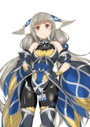 Rule 34 | 1girl, animal ears, breasts, chest jewel, cleavage, detached sleeves, facial mark, highleg, highleg leotard, highres, jksfs, leotard, long hair, low twintails, nia (blade) (xenoblade), nia (xenoblade), pantyhose, silver hair, small breasts, solo, thighhighs, tights day, twintails, very long hair, xenoblade chronicles (series), xenoblade chronicles 2, yellow eyes