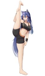 Rule 34 | 1girl, abs, absurdres, animal ear fluff, animal ears, bike shorts, black wristband, blue hair, breasts, commission, commissioner upload, earrings, highres, jewelry, large breasts, long hair, non-web source, red eyes, royal (unit645), shorts, solo, split, sports bra, standing, standing on one leg, standing split, striped wristband, tail, thighs, toned, tsurime, very long hair, white hair, wolf ears, wolf girl, wolf tail, wristband, yuu azma