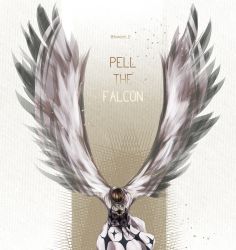 Rule 34 | 1boy, alabasta, character name, cloak, feathered wings, headband, jewelry, male focus, necklace, one piece, pell, solo, wings
