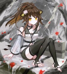 Rule 34 | 1girl, animal ears, arknights, arrow (projectile), bare shoulders, black pants, black thighhighs, breasts, brown hair, cleavage, commentary, detached sleeves, english commentary, feet, flower, folinic (arknights), folinic (lasting arrowroot) (arknights), hair flower, hair ornament, highres, knees together feet apart, long hair, medium breasts, midriff, mongoose ears, navel, official alternate costume, pants, ponytail, revision, sitting, solo, spacelongcat, thighhighs, torn clothes, torn thighhighs, upper body, weapon, white flower, yellow eyes