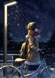 Rule 34 | 1girl, absurdres, bicycle, blue skirt, brown coat, brown hair, coat, commentary, english commentary, enpera, fur-trimmed coat, fur trim, gloves, highres, lamppost, light, night, original, outdoors, plaid, plaid scarf, pleated skirt, railing, red gloves, red scarf, scarf, scenery, shurock, signature, skirt, snow, snow on head, snowing, solo