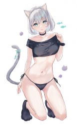 Rule 34 | 1girl, absurdres, animal ear fluff, animal ears, aqua eyes, belt collar, breasts, cat ears, cat girl, cat tail, collar, hair between eyes, highres, lace, lace-trimmed panties, lace trim, looking at viewer, medium breasts, midriff, nagi (pickles pipipi), navel, original, panties, ribbon, short hair, silver hair, small breasts, solo, tail, underwear, white background