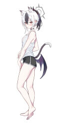 Rule 34 | 1girl, absurdres, alternate costume, animal ear fluff, animal ears, bare legs, barefoot, black choker, black hair, blue archive, blush, breasts, cat ears, cat tail, choker, demon horns, demon wings, dolphin shorts, extra ears, from side, full body, halo, highres, horns, kayoko (blue archive), looking at viewer, looking to the side, ponytail, red eyes, saboten, short shorts, shorts, simple background, small breasts, solo, tail, white background, white hair, wings
