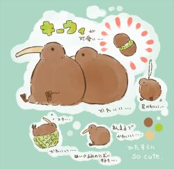 Rule 34 | animal focus, bird, commentary request, food, fruit, green background, kenoka, kiwi (bird), kiwi (fruit), lying, no humans, original, outline, partial commentary, simple background, sitting, sleeping, translation request, white outline
