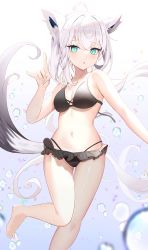 Rule 34 | 1girl, air bubble, animal ears, bikini, black bikini, blush, braid, breasts, bubble, commentary, fox ears, fox girl, fox shadow puppet, fox tail, green eyes, hair between eyes, highres, hololive, kinsuke z, long hair, looking at viewer, navel, open mouth, shirakami fubuki, sidelocks, single braid, small breasts, solo, submerged, swimming, swimsuit, symbol-only commentary, tail, underwater, virtual youtuber, white hair