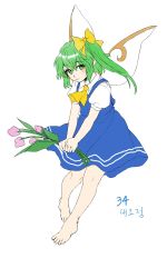 Rule 34 | 1girl, absurdres, ascot, bare legs, barefoot, blue dress, bow, closed mouth, collared shirt, commentary request, daiyousei, derivative work, dress, eyelashes, fairy, fairy wings, flower, full body, green hair, hair bow, highres, holding, holding flower, korean commentary, kuya (hey36253625), puffy short sleeves, puffy sleeves, shirt, short sleeves, side ponytail, simple background, touhou, translation request, white background, white shirt, wings, yellow ascot, yellow bow