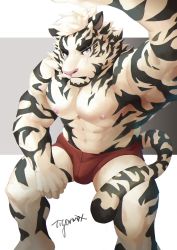 Rule 34 | 1boy, abs, animal ears, arknights, bara, briefs, bulge, feet out of frame, furry, furry male, highres, looking at viewer, male focus, male underwear, mountain (arknights), muscular, muscular male, nipples, pectorals, red male underwear, scar, scar across eye, scar on face, selfie, short hair, sitting, solo, stomach, tail, thick eyebrows, thighs, tiger boy, tiger ears, tiger tail, tigermax, underwear, underwear only, white fur, white hair