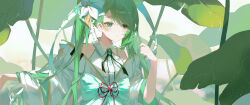 Rule 34 | 1girl, :/, absurdres, aqua eyes, aqua gemstone, bare shoulders, blush, bow, brooch, closed mouth, clothing cutout, collared dress, commentary, dress, flower, green hair, green ribbon, hair flower, hair ornament, hand up, hatsune miku, highres, jewelry, kiduki, lily pad, long hair, looking ahead, red ribbon, ribbon, shoulder cutout, solo, twintails, upper body, vocaloid, waist bow, white bow, white dress, white flower, wide sleeves