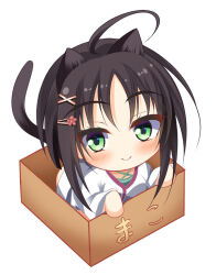Rule 34 | 1girl, ahoge, animal ears, black hair, black tail, box, cardboard box, cat ears, cat girl, cat tail, character name, chibi, closed mouth, commentary, eyelashes, eyes visible through hair, flower, green eyes, hair flower, hair ornament, hairclip, highres, hitachi mako, in box, in container, japanese clothes, kimono, long sleeves, looking at viewer, parted bangs, pink flower, senren banka, short hair with long locks, shrimp 3, simple background, sitting, smile, solo, tail, white background, white kimono, wide sleeves, x hair ornament