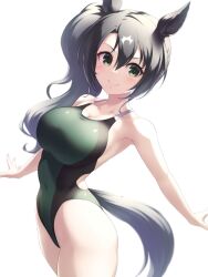 Rule 34 | 1girl, animal ears, black hair, breasts, collarbone, cowboy shot, green eyes, green one-piece swimsuit, highres, horse ears, horse girl, horse tail, large breasts, long hair, one-piece swimsuit, pataneet, satono crown (umamusume), side ponytail, simple background, solo, swimsuit, tail, two-tone background, umamusume, white background