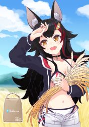 Rule 34 | 1girl, :d, animal ear fluff, animal ears, arm up, bare shoulders, bikini, bikini under clothes, black collar, black hair, black jacket, brown eyes, collar, collarbone, day, fangs, hair ornament, hairclip, head tilt, highres, holding, hololive, hood, hood down, hooded jacket, jacket, long hair, long sleeves, looking away, looking to the side, multicolored hair, navel, nekota susumu, off shoulder, ookami mio, ookami mio (hololive summer 2019), open clothes, open fly, open jacket, open mouth, open shorts, outdoors, red hair, rice (plant), short shorts, shorts, smile, solo, streaked hair, swimsuit, very long hair, virtual youtuber, white bikini, white shorts, wolf ears