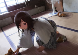 Rule 34 | 1girl, all fours, animal hands, bath yukata, black eyes, black hair, cable, dog, electric fan, electrical outlet, indoors, japanese clothes, kimono, licking, licking hand, long hair, long sleeves, looking at viewer, morifumi, open mouth, original, see-through, solo, tatami, towel, wet, wet hair, wide sleeves, yukata