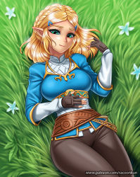 Rule 34 | 1girl, black gloves, blonde hair, blue shirt, boots, braid, brown gloves, brown pants, closed mouth, day, fingerless gloves, fingernails, flower, french braid, gloves, grass, green eyes, hair ornament, hairclip, long sleeves, looking at viewer, lying, nintendo, on back, outdoors, pants, parted bangs, pointy ears, presenting, princess zelda, racoon-kun, shirt, short hair, smile, solo, spread legs, the legend of zelda, the legend of zelda: breath of the wild, tight clothes, tight pants
